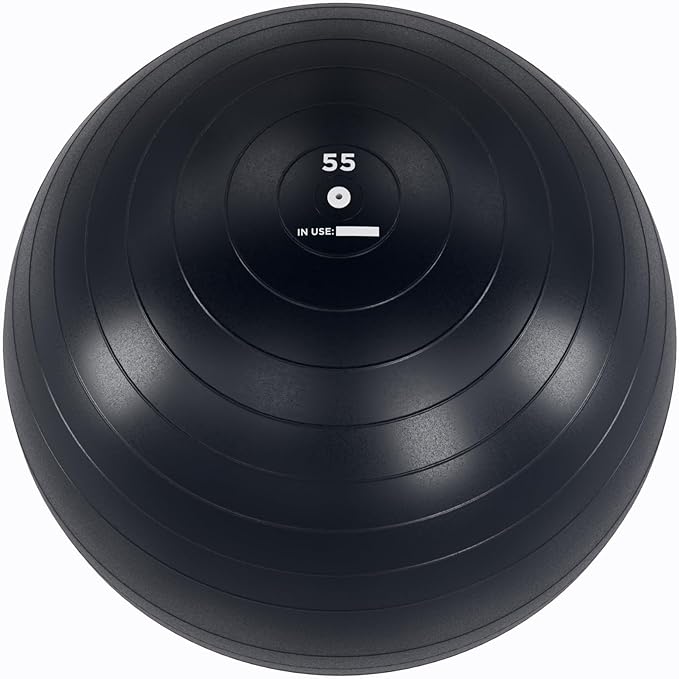 Power Systems Versa Ball Pro Stability Ball