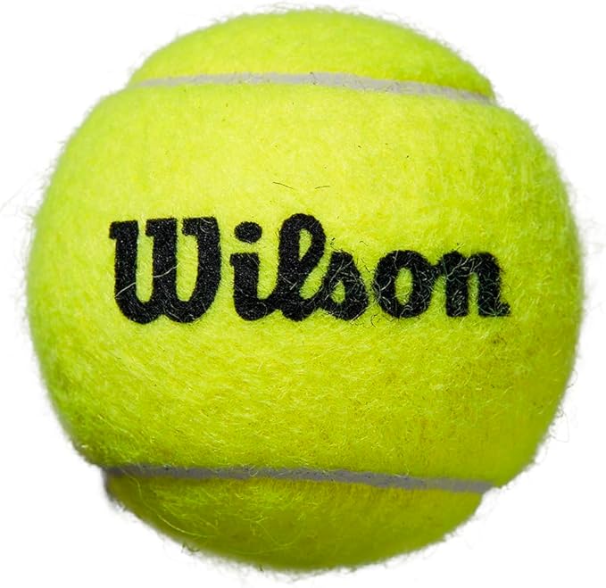 Wilson Roland Garros Clay Tennis Ball - 3 Ball Can