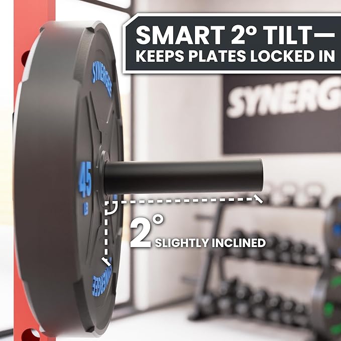 Synergee Weight Plate Storage Peg for Power & Squat Racks. Fits 2x2, 2x3 & 3x3 Racks. Rack-Mounted Plate Holder for Olympic Weight Plates.