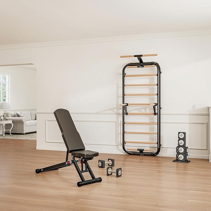 DHT Swedish Ladder 2.0, Wood Stall Bar with Suspension Trainer Straps, Pull-Up Dip Bar Attachment, 11 Strategic Rods, for Home, School, Physical Therapy and Gymnastics