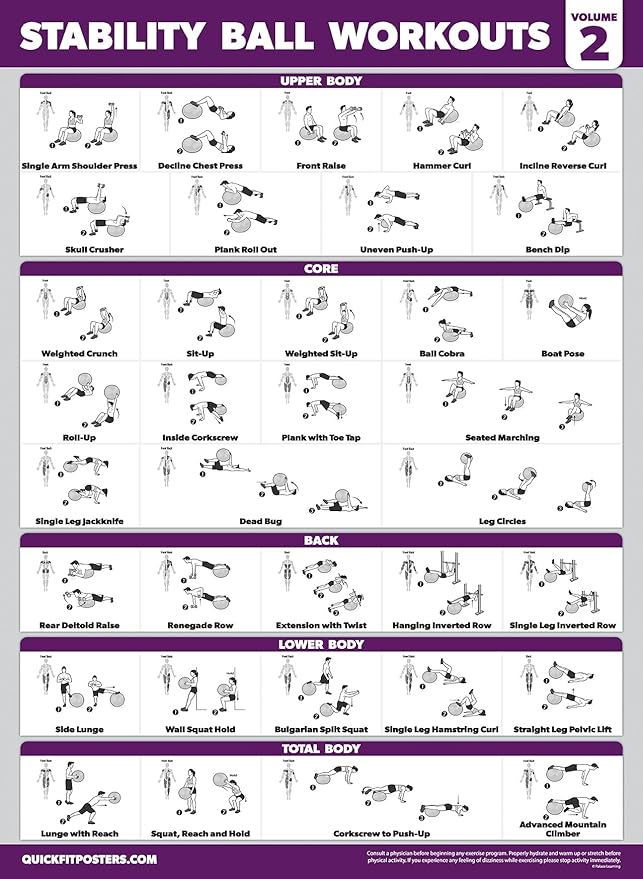 Palace Learning 2 Pack - Yoga Ball Workout Exercises Volume 1 & Volume 2 - Stability Ball Routine - Fitness Charts