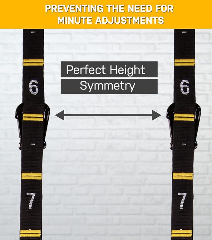 Double Circle Wood Gymnastics Rings with Quick Adjust Numbered Straps and Exercise Videos Guide - Full Body Workout Rings, Calisthenics, Home Gym (Multi-Size)