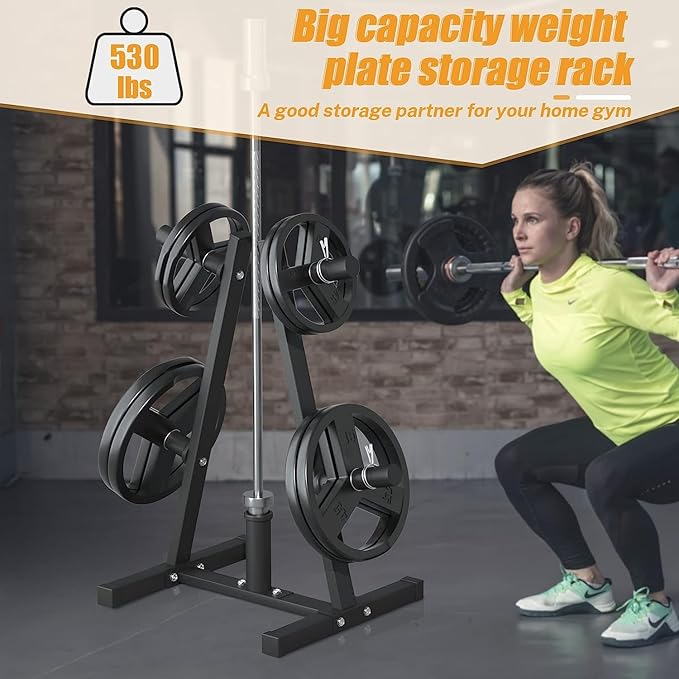 Weight Plate Rack, Bongkim Weight Tree and Weight Rack for Plates, Weight Holder for 2 inch Olympic Weight Plate, Weight Plate Storage for Home Gym