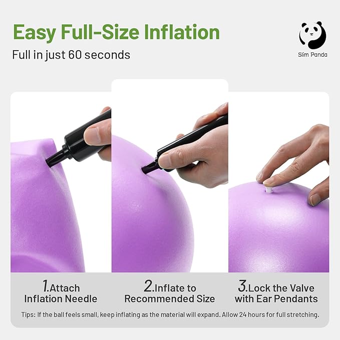 Slim Panda Pilates Ball, 9 Inch Small Exercise Ball, Anti Burst Mini Yoga Ball for Stability, Workout, Barre, Core Strength, Physical Therapy, Balance, Stretching