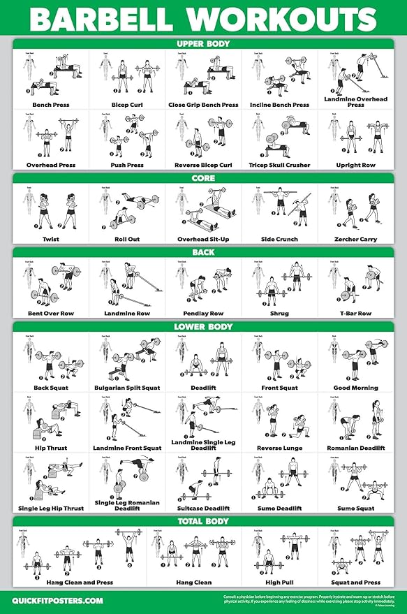 11 Pack - Exercise Poster Set, Dumbbell, Suspension, Kettlebell, Resistance Bands, Stretching, Bodyweight, Barbell, Yoga, Exercise Ball, Muscular System, Medicine Ball (LAMINATED, 18" x 24")