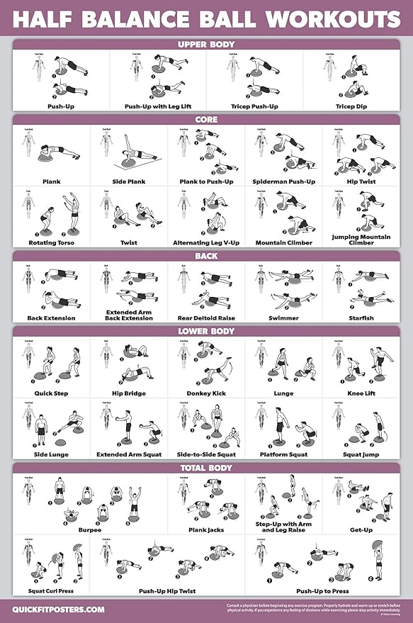2 Pack: Half Balance Ball Workout Poster + Yoga Ball Exercise Chart - Set of 2 Workout Posters
