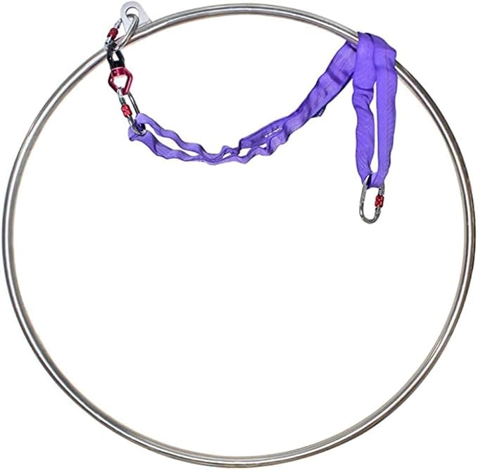 PRIOR FITNESS Aerial Lyra Hoop Set for Adults Suspension Professional Ring Fitness Stainless Steel Single Point Aerial Hoop Equipment Kit(Tube Dia:25mm and 32mm)