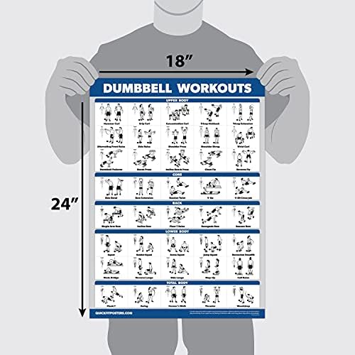 Palace Learning 4 Pack - Dumbbell + Bodyweight + Kettlebell Workouts - Set of 4 Laminated Charts (18'' x 24'')