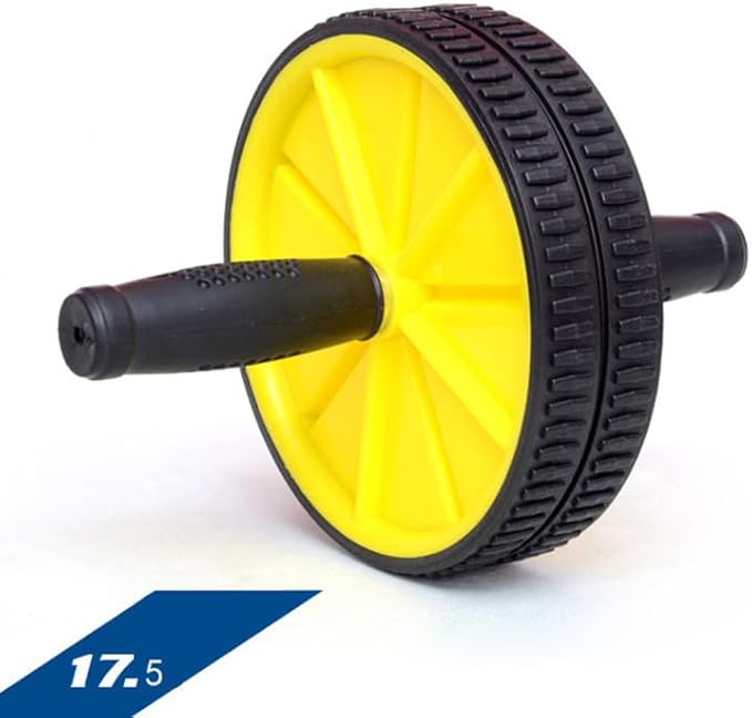 SUPVOX Ab Roller Wheel, Abdominal Double Wheel Ab Workout Equipment Home Gym Fitness Device Steel Tube Abdomen Trainer for Core Strength Quiet Workouts for Men Women Beginners