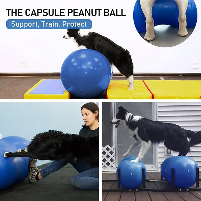 Dog Peanut Ball for Canine Fitness & Rehabilitation for Small Medium Large Breed - Anti-Burst Pet Exercise Equipment for Core Strengthening Balance Training Hind Leg Stability (Small - for Legs 3-7")