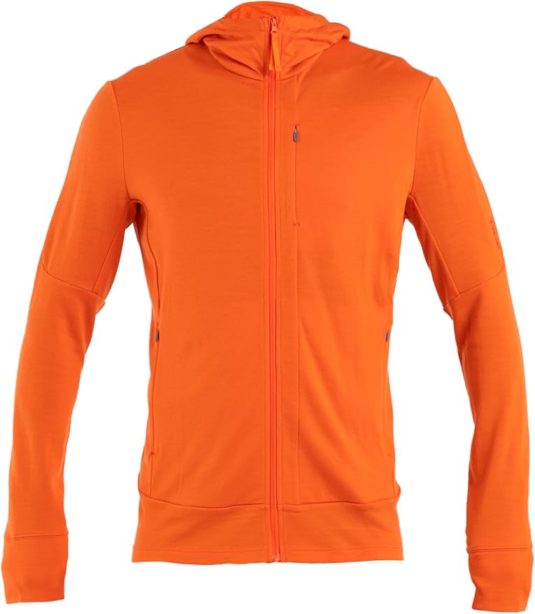 icebreaker Men's Merino 260 Quantum Long Sleeve Zip Hoodie