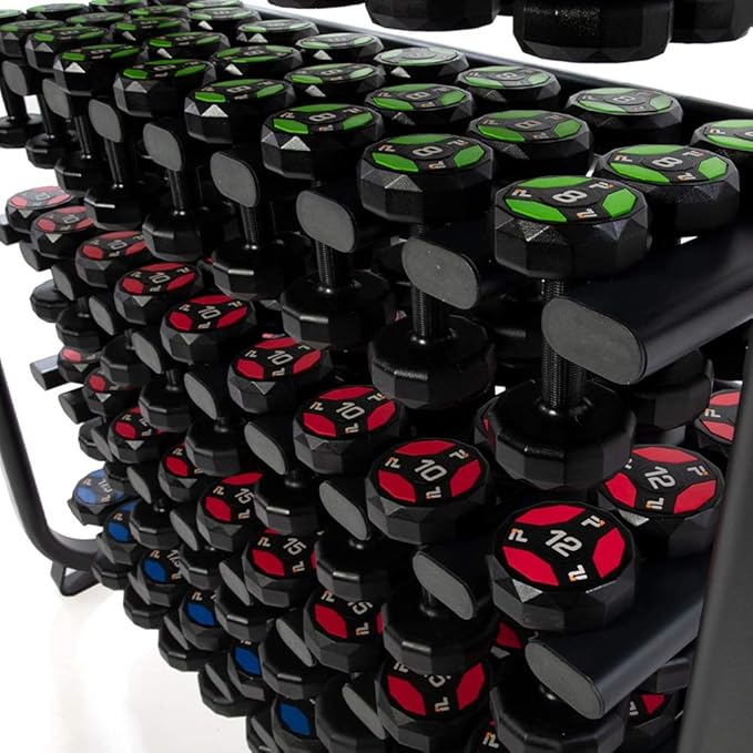 Power Systems Denali Series Vertical Dumbbell Rack
