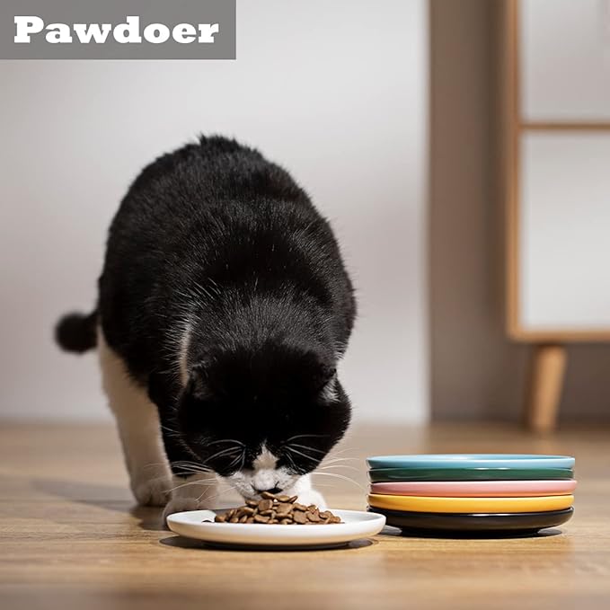 Ceramic Shallow Cat Dish 6 inch, Whisker Fatigue Free Cat Food Bowls, Wide and Small Pet Plate for Kitten and Kitty, Short Legged Munchkin Cat