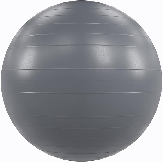 Power Systems Versa Ball Pro Stability Ball