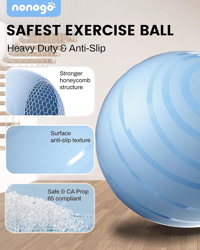 nonogo Birthing Ball for Pregnancy with Resistance Bands- Exercise Ball for Working Out, Yoga, Physical Therapy, Maternity Physio, Balance Stability Ball with Pump