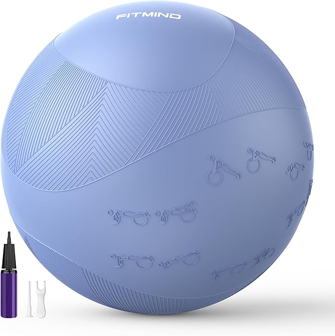 Extra Thick Yoga Ball with Training Instruction, Anti-Burst Slip Resistant Exercise Ball with Pump for Pilates,Physical Therapy,Pregnancy Stability,Birthing Ball 22in 26in 30in