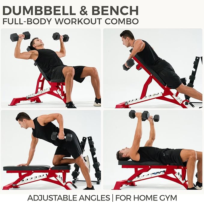 RITFIT 300/350/650LBS Rubber Coated Hex Dumbbell Set with Rack and Multi-Position Weight Bench, 1300LB Capacity for Full Body Workout