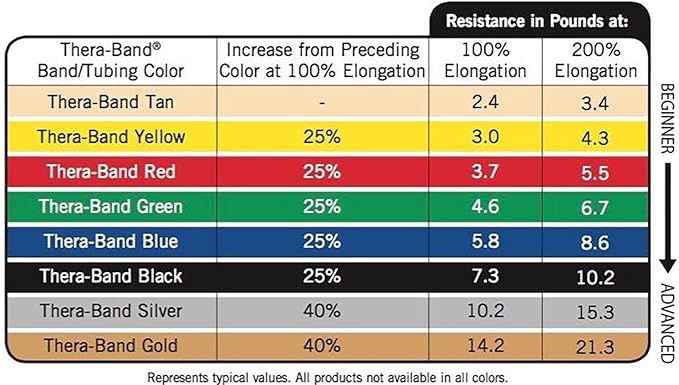 THERABAND Resistance Bands, 5 Foot, 15 or 30 Count Professional Latex Elastic Bands for Upper & Lower Body Exercise, Physical Therapy, Pilates, Home Workouts, & Rehab