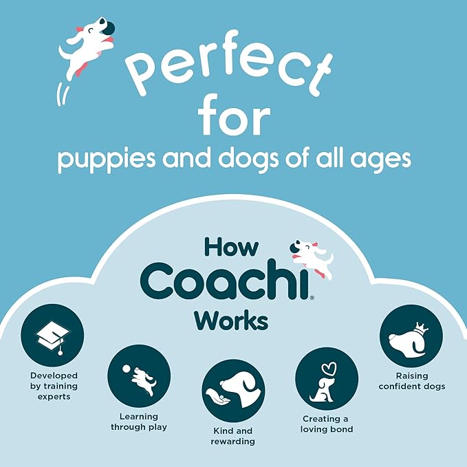 Coachi Training Dumbbell, Floats, Long Distance Throwing, Classic Retrieval Toy, Gundog and Puppy Training. Dog Accessory, Super Tough & Strong, Suitable for Medium Dogs and Puppies (Size M, Lime)