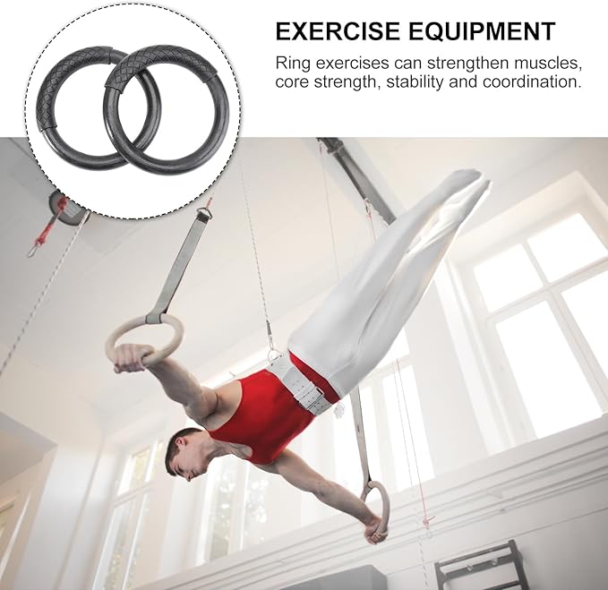 BESPORTBLE 1 Pair ABS Gymnastic Ring Fitness Rings (Black)