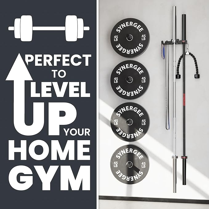 Synergee Wall Mounted Barbell Holder & Gym Accessory Rack – Heavy Duty Steel Storage for Barbells, Collars, Bands, and Fitness Gear – Space Saving Home Gym Equipment Organizer