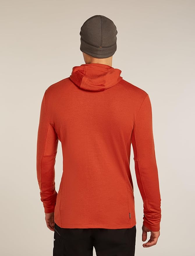 icebreaker Men's Merino 260 Quantum Long Sleeve Zip Hoodie