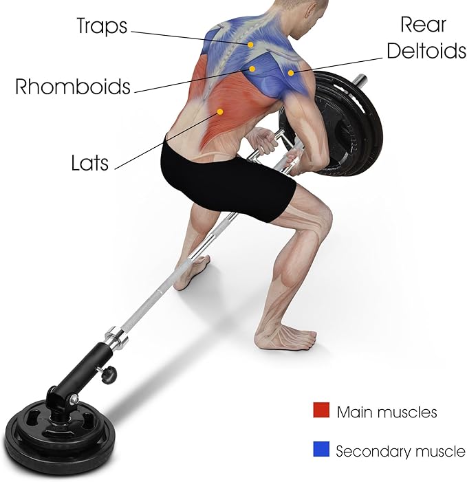 Yes4All T-Bar Row Plate Post Insert Landmine Attachment – Fit 1" & 2” Olympic Bars – Full 360° Swivel & Easy to Install