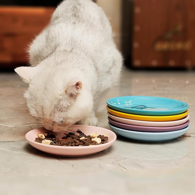 Ceramic Shallow Cat Dish 6 inch, Whisker Fatigue Free Cat Food Bowls, Wide and Small Pet Plate for Kitten and Kitty, Cat Design Gift for Cat Lovers