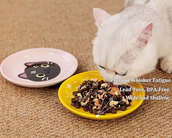 Ceramic Shallow Cat Dish 6 inch, Whisker Fatigue Free Cat Food Bowls, Wide and Small Pet Plate for Kitten and Kitty, Cat Design Gift for Cat Lovers