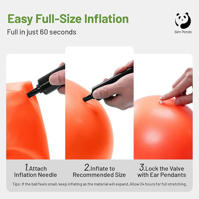 Slim Panda Pilates Ball, 9 Inch Small Exercise Ball, Anti Burst Mini Yoga Ball for Stability, Workout, Barre, Core Strength, Physical Therapy, Balance, Stretching