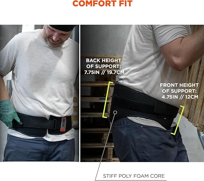 Ergodyne ProFlex 1500 Weight Lifters Style Back Support Belt, X-Large, Black