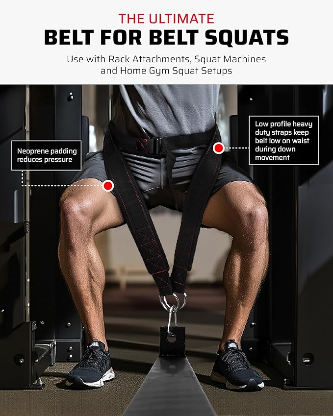 THEFITGUY Ultimate Belt for Belt Squats, Rack Attachment and Squat Machine, Structured Back Support, Stays Low During Down Movement, Padded Hip & Thigh Area, Buckle Strap - No Sliding Down, Heavy Duty