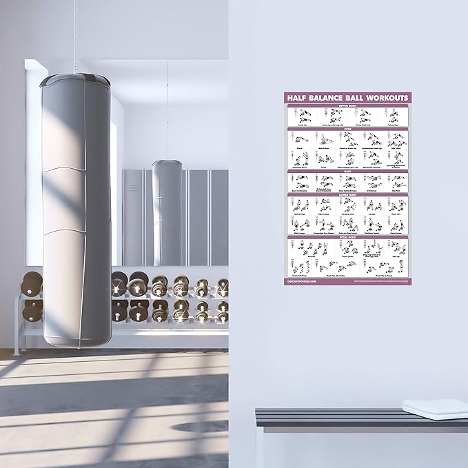 Palace Learning Half Balance Ball Workout Poster - Exercise Chart (LAMINATED, 18" x 24")