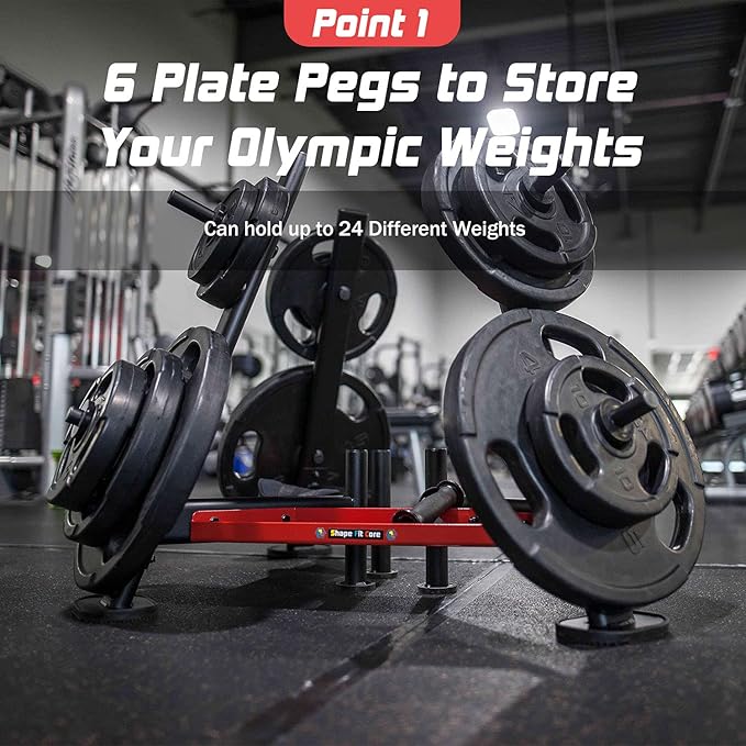 Barbell Olympic Plate Tree Storage-Dumbbell Weight Rack with 4,6,8 Weight Pegs 440~880LBS Capacity & Standard 1.1 Inch(28mm) Diameter Bar Holders [SFC-720]