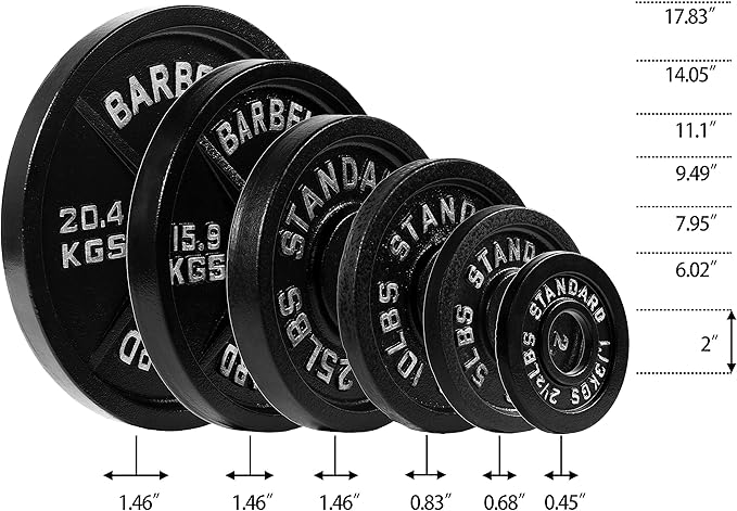 Fitvids Olympic 2-Inch Cast Iron Plate Weight Plate for Strength Training and Weightlifting, Vintage Style, Alloy Steel,25LB Pair
