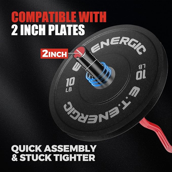 47" Olympic EZ Curl Bar 500-lbs Capacity Steel Barbell Suitable for 2" Weight Plates, 2-Inch Curl Bar for Weight Lifting,Hip Thrusts,Squat,Biceps-Home Gym Weight Bar