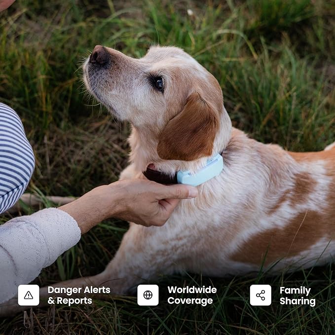 Tractive Smart Dog GPS Tracker with 6 Month Subscription | Live Pet Tracker with Virtual Fence | Vital Signs Monitoring of Heart & Respiratory Rate | Bark Monitoring | Dog Collar Attachment (Brown)