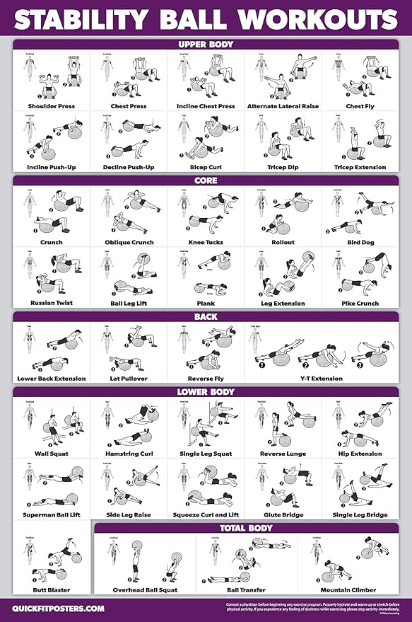 2 Pack: Half Balance Ball Workout Poster + Yoga Ball Exercise Chart - Set of 2 Workout Posters