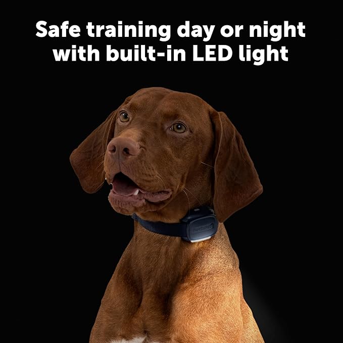 PetSafe Core Dog Trainer with Remote - Effective Dog Training - 15 Levels of Static Correction - Waterproof Collar - Rechargeable Training Collar - Compact Remote Transmitter