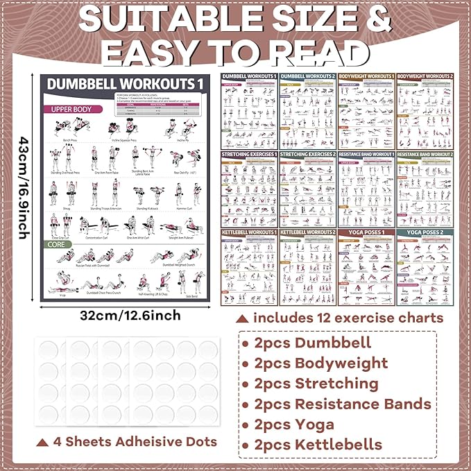 gisgfim 12PCS Workout Posters for Home Gym Dumbbells, Bodyweight, Stretching, Kettlebells, Yoga, Resistance Bands Exercise Chart Muscle Engagement Chart Full Body Workout Poster Set Garage Gym Decor