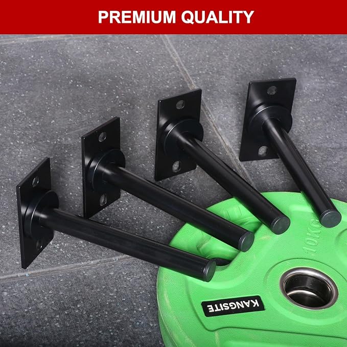 SYL Fitness Wall Mounted Weight Plate Holder, Wall Weight Storage Rack Available in 1" and 2"