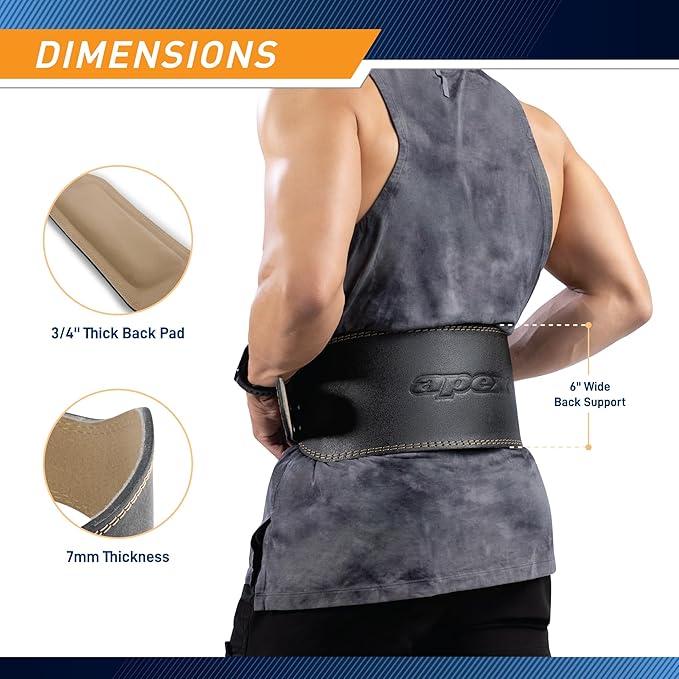 Apex by Marcy 6-Inch Wide Genuine Leather Weightlifting Belt for Men and Women
