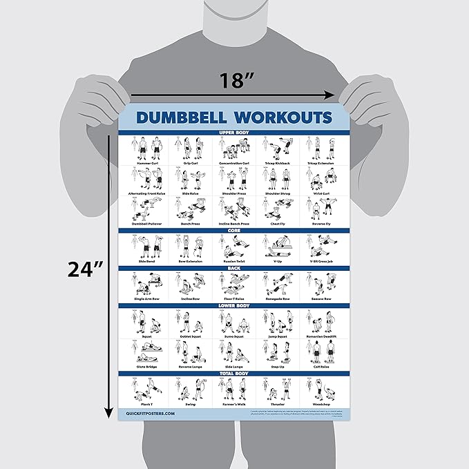 Palace Learning 2 Pack Dumbbell Workouts and Kettlebell Exercise Poster Set - Laminated 2 Chart Set - Dumbbell Exercise Routine & Kettle Bell Workouts [LIGHT] (LAMINATED, 18” x 24”)