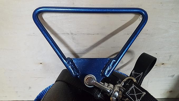 Indoor Weight Throw Bag & Handle PRACTICE ONLY (SLAM BALL NOT INCLUDED)