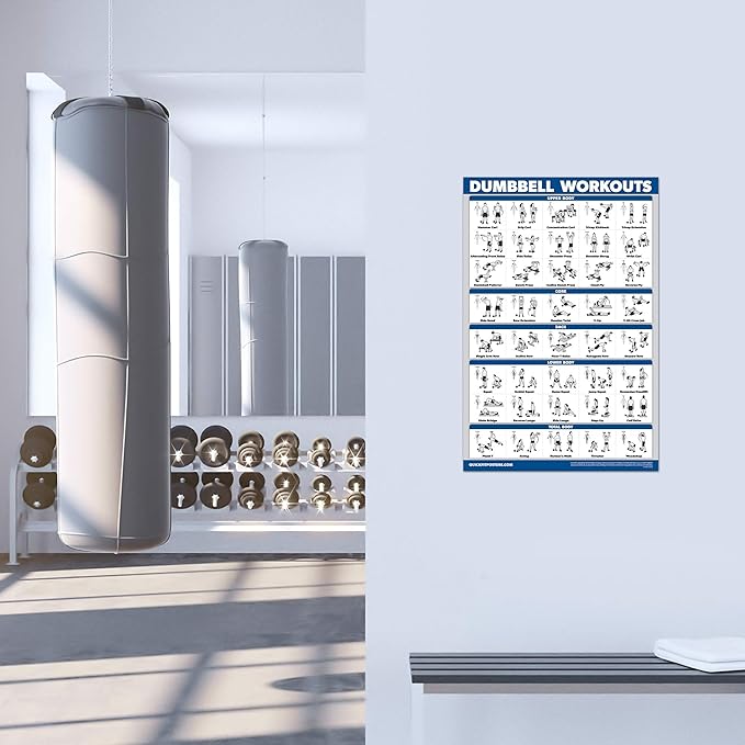 Palace Learning 4 Pack - Dumbbell + Bodyweight + Kettlebell Workouts - Set of 4 Laminated Charts (18'' x 24'')