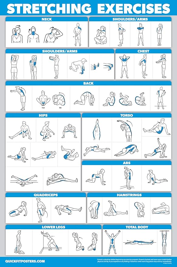 Palace Learning 3 Pack - Barbell Workout Posters Volume 1 & 2 + Stretching Exercise Chart - Set of 3 Posters