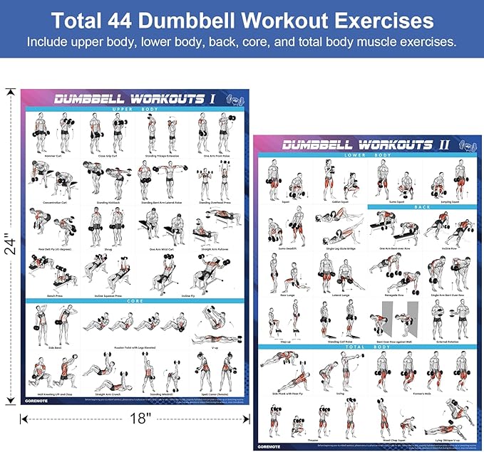 Dumbbell Workout Poster Set (2 Pack) - Workout Posters for Home Gym, Volume I & II - 18" x 24" with Enlarged Dumbbell Exercise Charts Illustrations, Home Gym Decor