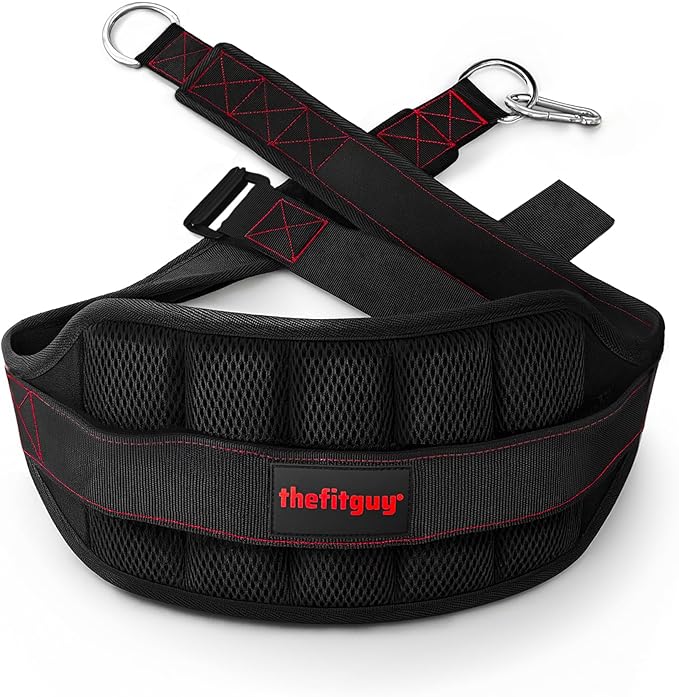 THEFITGUY Ultimate Belt for Belt Squats, Rack Attachment and Squat Machine, Structured Back Support, Stays Low During Down Movement, Padded Hip & Thigh Area, Buckle Strap - No Sliding Down, Heavy Duty