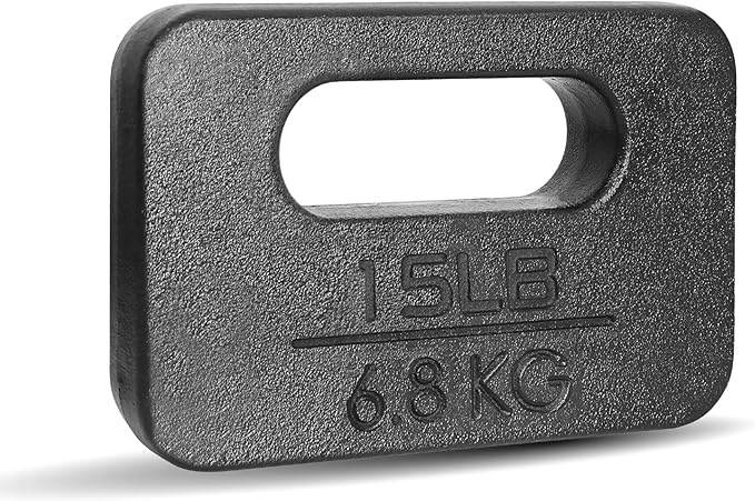 Yes4All Cast Iron Rucking Weight for Backpack, Training Weight Plate with Ergonomic Rounded Handle, Protective Glossy Finish for Weighted Walking, Hiking, Rucking, Resistance Workout, 10 LB