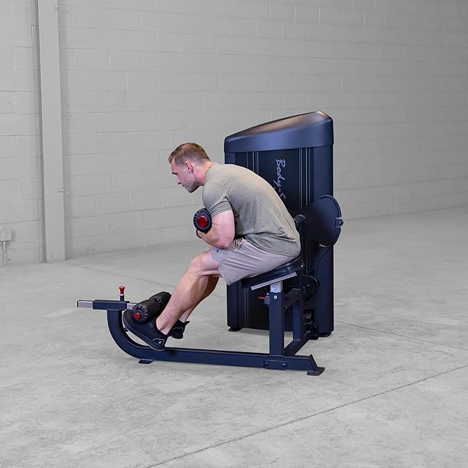 Body Solid Pro Clubline Series II Ab and Back Workout Machine